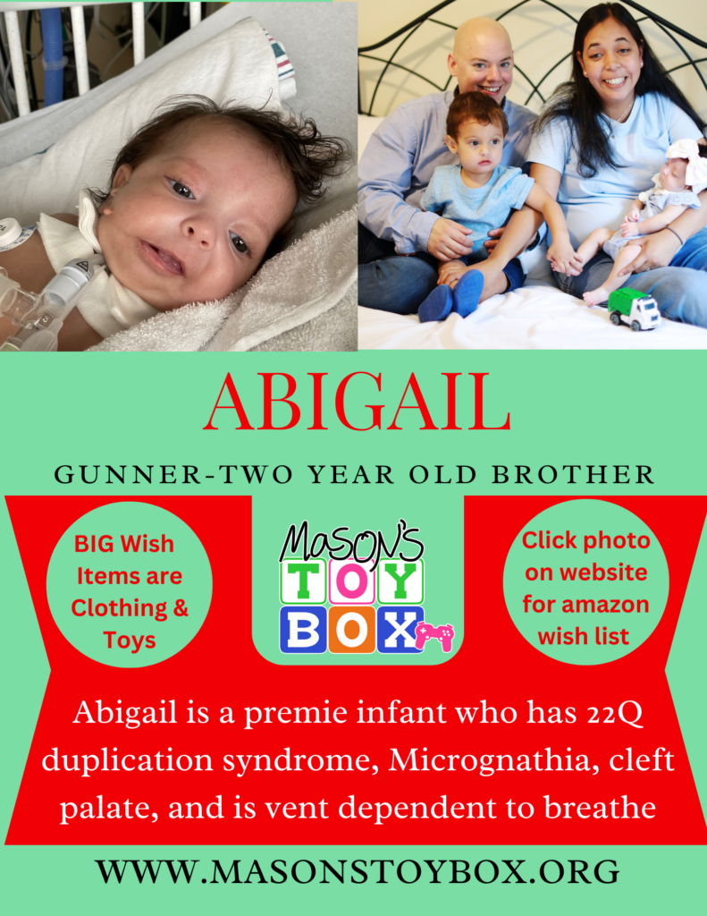 Toy box 2025 website