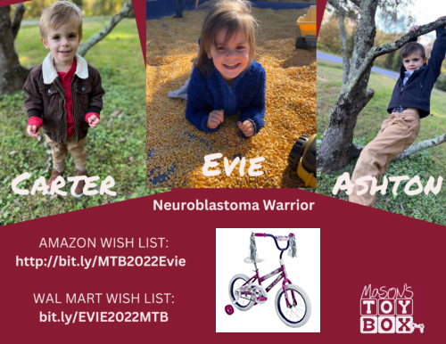 Evie-Neuroblastoma-Warrior-500x386v3